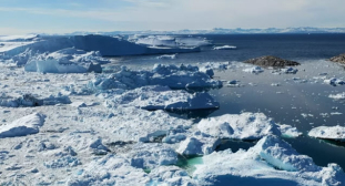 Navigating the Future of Agriculture:Global Warming & Crop Cultivation