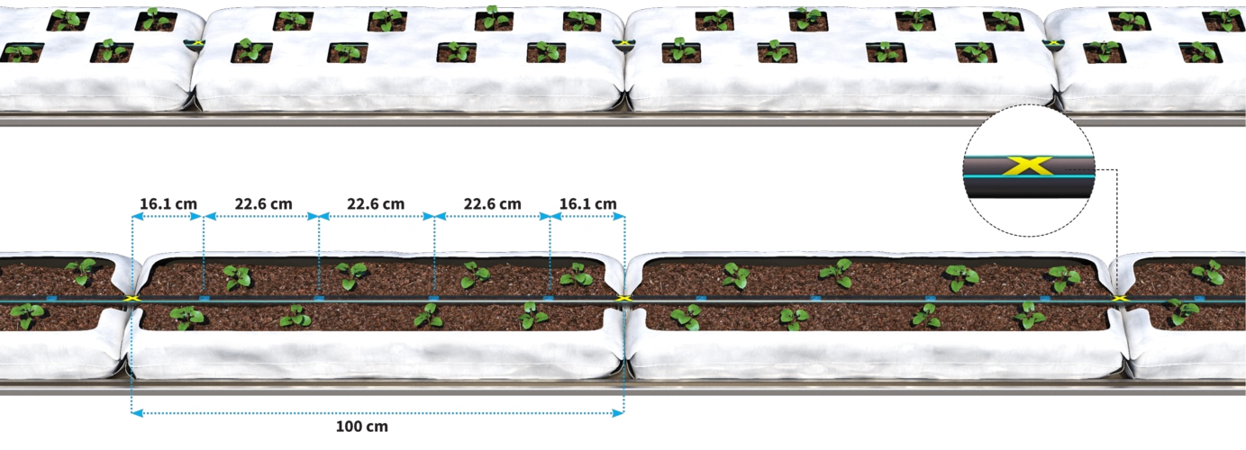 InbarRGX Precise irrigation for grow bags