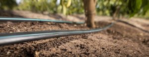 Understanding Drip Irrigation Systems and what are PC or Non-PC Drippers?