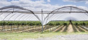 Questions and Answers about Drippers