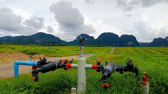 Optimized Durian Irrigation Thailand