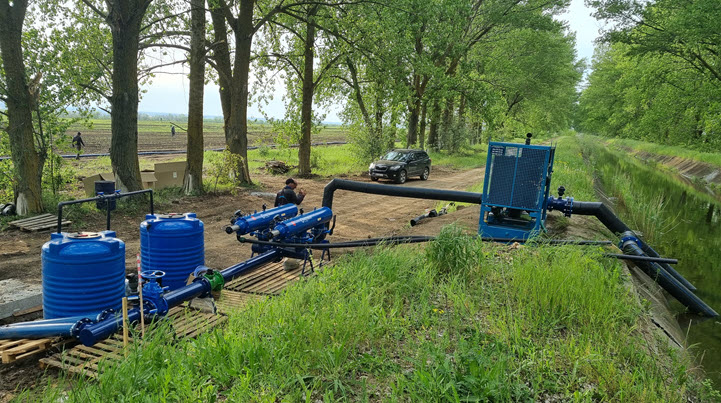 Boosting Tomato Production in the Ukraine