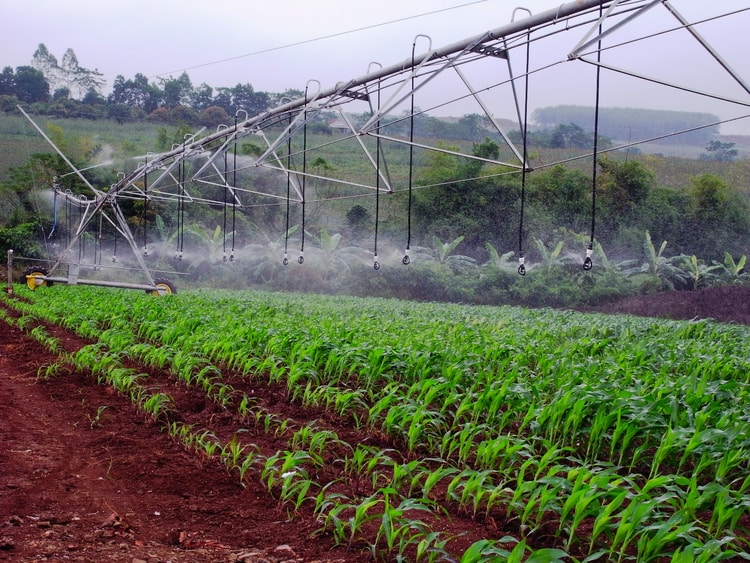 Pivot Deployment for country’s largest Dairy Farm