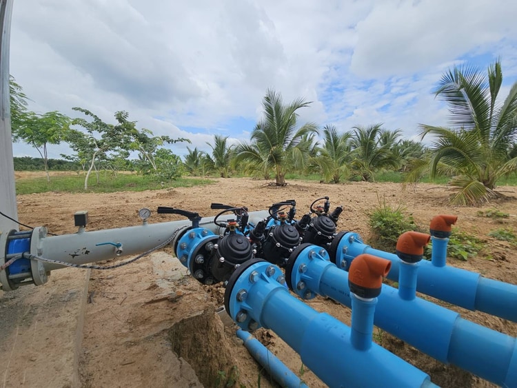 Dual-Crop Precision irrigation