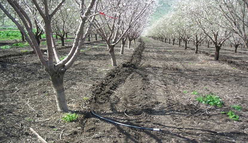 Subsurface Drip Irrigation